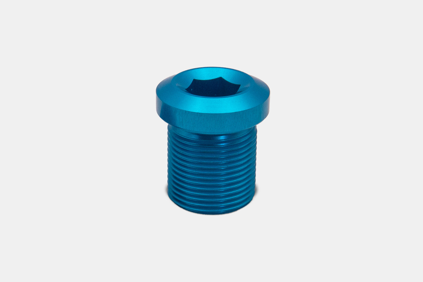 Bosch Crank Bolt (Single)